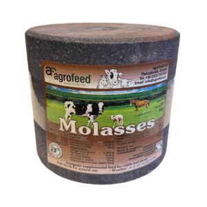 Bloc Mineral - MOLASES Block