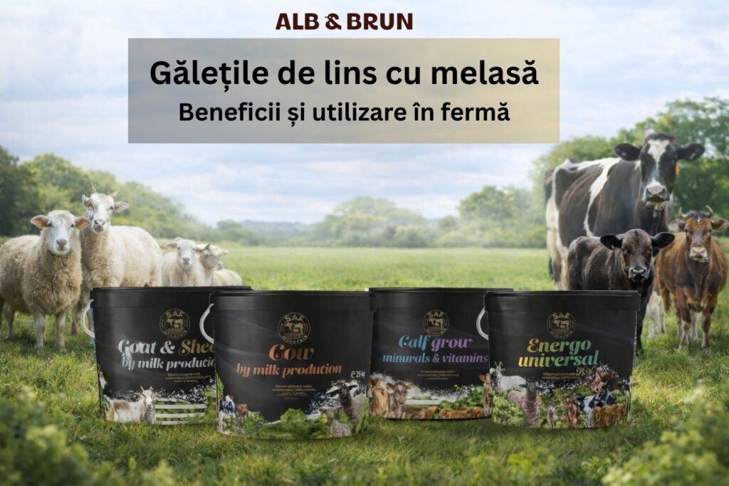 Gălețile de lins cu melasă