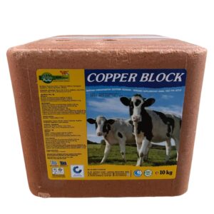 Copper Block 10 kg